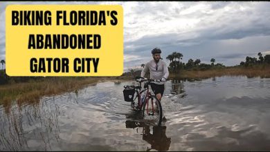 Biking Fakahatchee and Picayune Strand State Preserve - Open Florida